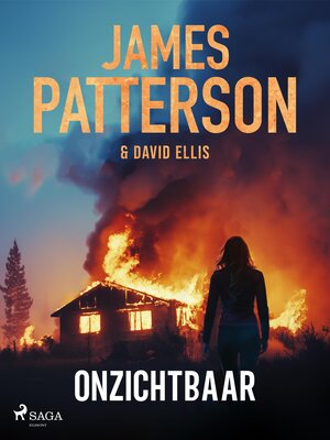cover image of Onzichtbaar